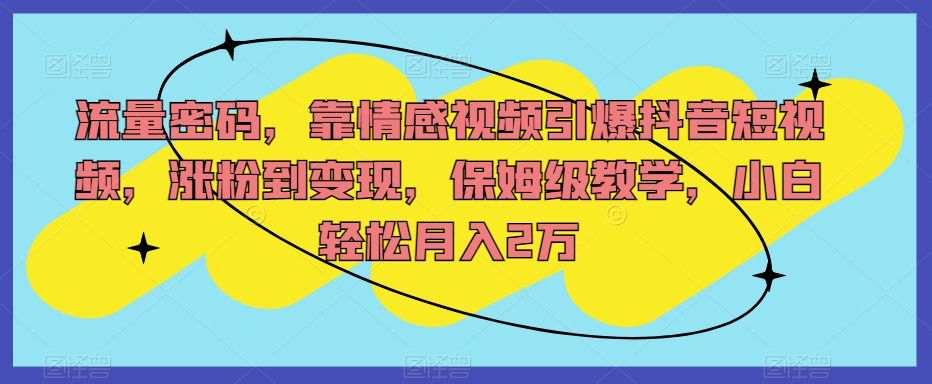 流量密码，靠情感视频引爆抖音短视频，涨粉到变现，保姆级教学，小白轻松月入2万【揭秘】-大齐资源站