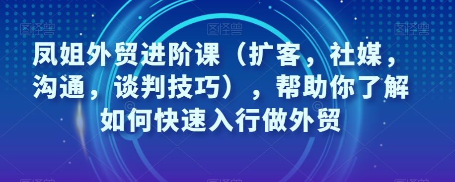 凤姐外贸进阶课（扩客，社媒，沟通，谈判技巧），帮助你了解如何快速入行做外贸-大齐资源站