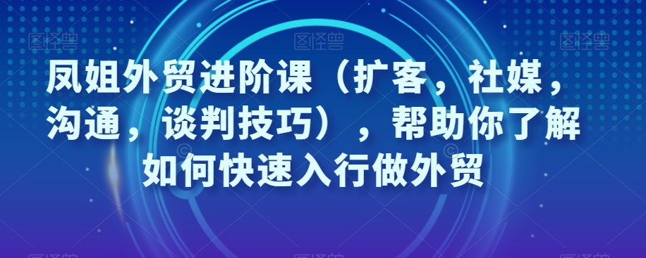 凤姐外贸进阶课（扩客，社媒，沟通，谈判技巧），帮助你了解如何快速入行做外贸-大齐资源站