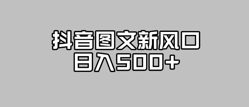 抖音图文最新风口，流量扶持非常高，日入500+【揭秘】-大齐资源站