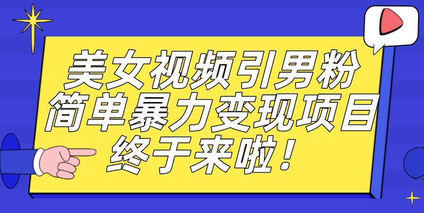 价值3980的男粉暴力引流变现项目，一部手机简单操作，新手小白轻松上手，每日收益500+【揭秘】-大齐资源站