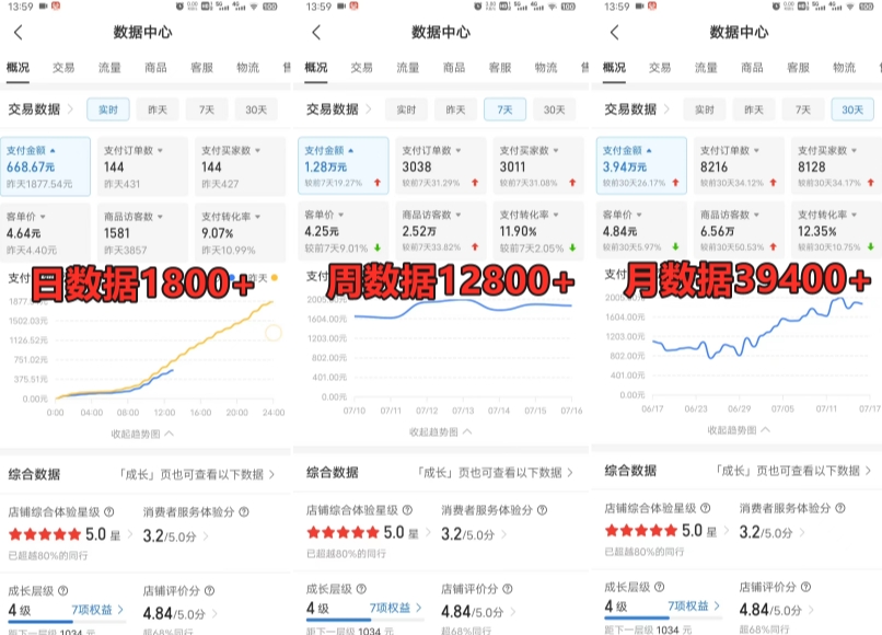 拼多多虚拟电商训练营月入30000+你也行，暴利稳定长久，副业首选-大齐资源站