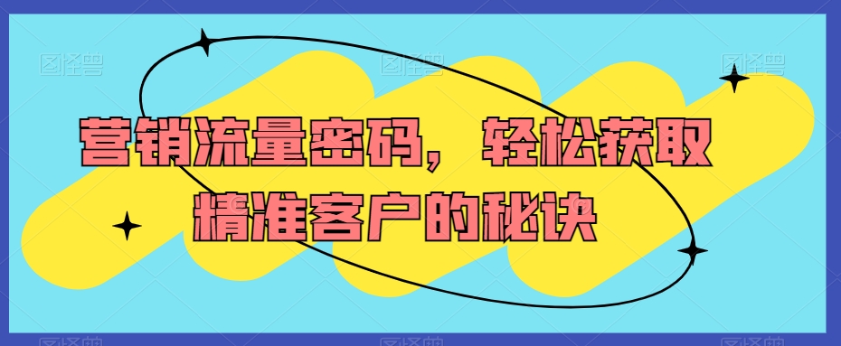 营销流量密码，轻松获取精准客户的秘诀-大齐资源站