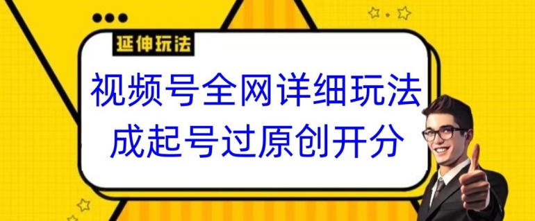 视频号全网最详细玩法，起号过原创开分成，单号日入300+【揭秘】-大齐资源站