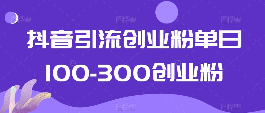 抖音引流创业粉单日100-300创业粉【揭秘】-大齐资源站