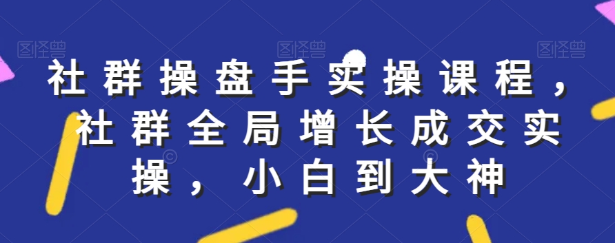 社群实操课程，社群全局增长成交实操，小白到大神-大齐资源站