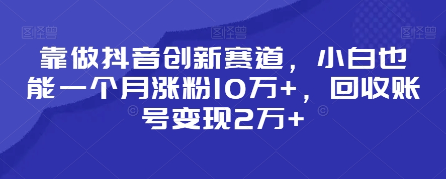 靠做抖音创新赛道，小白也能一个月涨粉10万+，回收账号变现2万+【揭秘】-大齐资源站