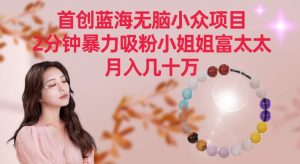 首创蓝海无脑小众项目，2分钟暴力吸粉小姐姐富太太，月入几十万【揭秘】-大齐资源站