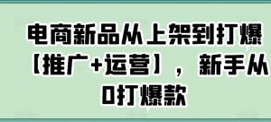 电商新品从上架到打爆【推广+运营】，新手从0打爆款-大齐资源站