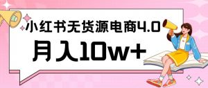小红书新电商实战，无货源实操从0到1月入10w+联合抖音放大收益【揭秘】-大齐资源站