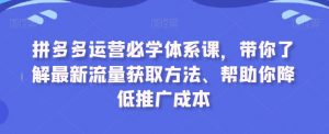 拼多多运营必学体系课，带你了解最新流量获取方法、帮助你降低推广成本-大齐资源站