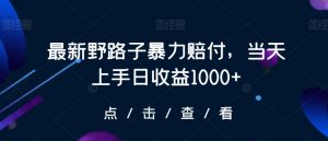 最新野路子暴力赔付，当天上手日收益1000+【仅揭秘】-大齐资源站
