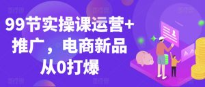 99节实操课运营+推广,电商新品从0打爆-大齐资源站