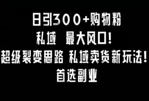 日引300+购物粉，超级裂变思路，私域卖货新玩法，小红书首选副业【揭秘】-大齐资源站