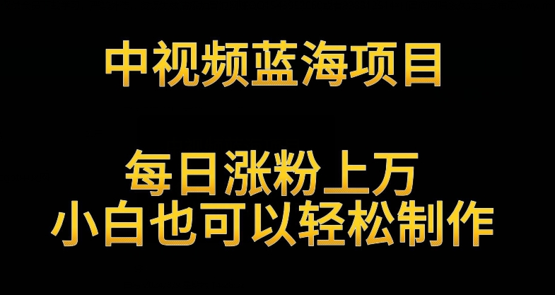 中视频蓝海项目，解读英雄人物生平，每日涨粉上万，小白也可以轻松制作，月入过万不是梦【揭秘】-大齐资源站