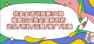 拼多多培训班第34期：做高价女装必盈利剖析选品/测款/运营/推广/拓展-大齐资源站