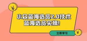 拼多多培训第33期:小众蓝海选品2.0技术-蓝海选品实操!-大齐资源站