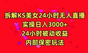 利用快手24小时无人美女直播,实操日入3000,24小时被动收益,内部保密玩法【揭秘】-大齐资源站