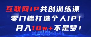 互联网IP共创训练课，零门槛零基础打造个人IP，月入10w+不是梦【揭秘】-大齐资源站
