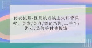 付费流量·巨量线索线上集训营课程，美发/美容/舞蹈培训/二手车/游戏/装修等付费投流-大齐资源站