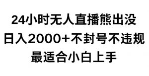 快手24小时无人直播熊出没，不封直播间，不违规，日入2000+，最适合小白上手，保姆式教学【揭秘】-大齐资源站
