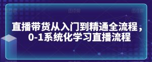 直播带货从入门到精通全流程,0-1系统化学习直播流程-大齐资源站