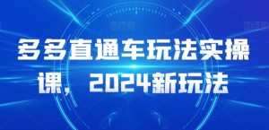 多多直通车玩法实操课，2024新玩法-大齐资源站