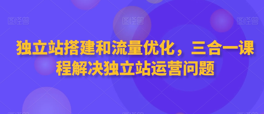 独立站搭建和流量优化，三合一课程解决独立站运营问题-大齐资源站