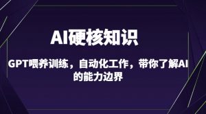 AI硬核知识-GPT喂养训练,自动化工作,带你了解AI的能力边界(10节课)-大齐资源站