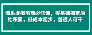 淘系虚拟电商必修课,零基础搞定原始积累,低成本起步,普通人可干-大齐资源站