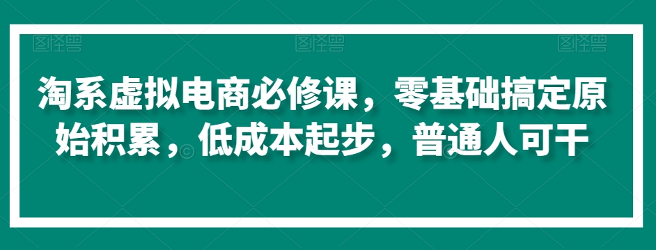 淘系虚拟电商必修课，零基础搞定原始积累，低成本起步，普通人可干-大齐资源站