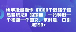 快手批量操作《1000个野路子信息差玩法》的项目，一分钟做一个视频一个图文，不封号，日引流150+【揭秘】-大齐资源站