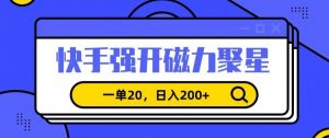 信息差赚钱项目，快手强开磁力聚星，一单20，日入200+【揭秘】-大齐资源站