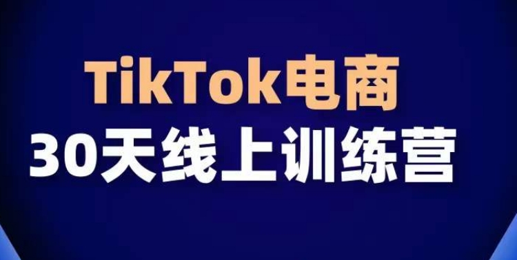 TikTok电商带货30天线上课，不可错过的全球流量洼地！-大齐资源站