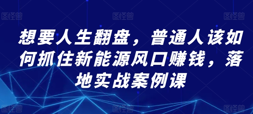 想要人生翻盘，普通人该如何抓住新能源风口赚钱，落地实战案例课-大齐资源站