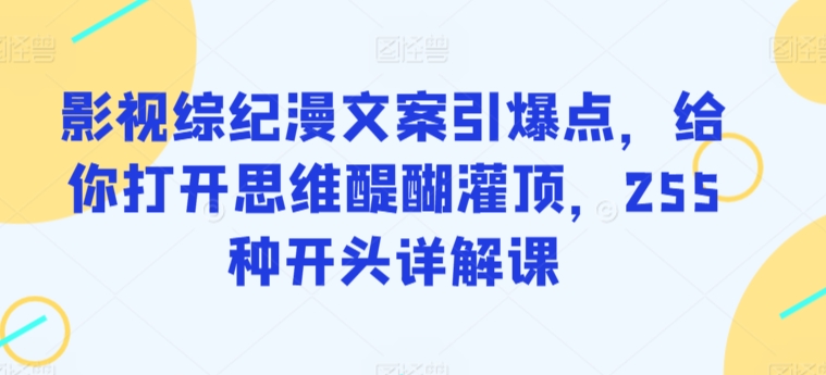 影视综纪漫文案引爆点，给你打开思维醍醐灌顶，255种开头详解课-大齐资源站