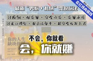 2024，“男粉+私域”还是最耐造、最赚、最轻松、最愉快的变现方式【揭秘】-大齐资源站