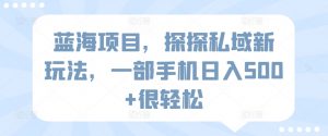 蓝海项目,探探私域新玩法,一部手机日入500+很轻松【揭秘】-大齐资源站