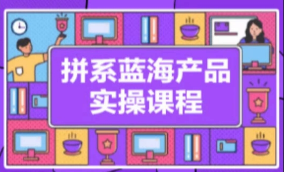 拼系冷门蓝海产品实操课程，从注册店铺到选品上架到流量维护环环相扣-大齐资源站