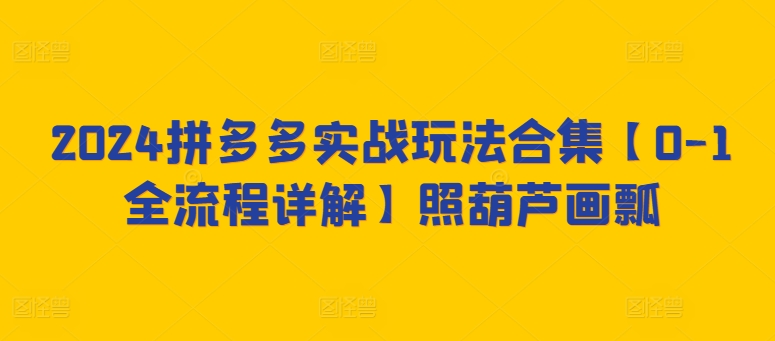 2024拼多多实战玩法合集【0-1全流程详解】照葫芦画瓢-大齐资源站