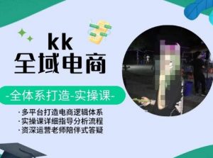 KK全域电商，全体系打造实操课，多平台打造电商逻辑体系-大齐资源站