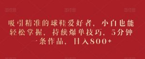 吸引精准的球鞋爱好者，小白也能轻松掌握，持续爆单技巧，5分钟一条作品，日入800+【揭秘】-大齐资源站