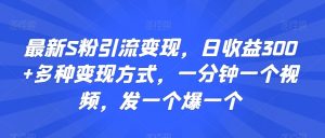 最新S粉引流变现，日收益300+多种变现方式，一分钟一个视频，发一个爆一个【揭秘】-大齐资源站