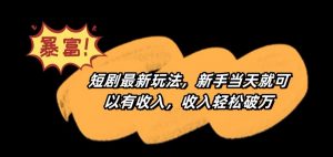 短剧最新玩法，新手当天就可以有收入，收入轻松破万【揭秘】-大齐资源站