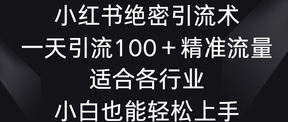 小红书绝密引流术，一天引流100+精准流量，适合各个行业，小白也能轻松上手【揭秘】-大齐资源站