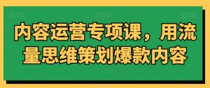 内容运营专项课,用流量思维策划爆款内容-大齐资源站
