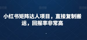 小红书矩阵达人项目，直接复制搬运，回报率非常高-大齐资源站