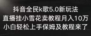 抖音全民k歌5.0新玩法，直播挂小雪花卖教程月入10万，小白轻松上手，保姆及教程来了【揭秘】-大齐资源站