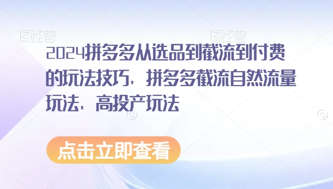 2024拼多多从选品到截流到付费的玩法技巧，拼多多截流自然流量玩法，高投产玩法-大齐资源站