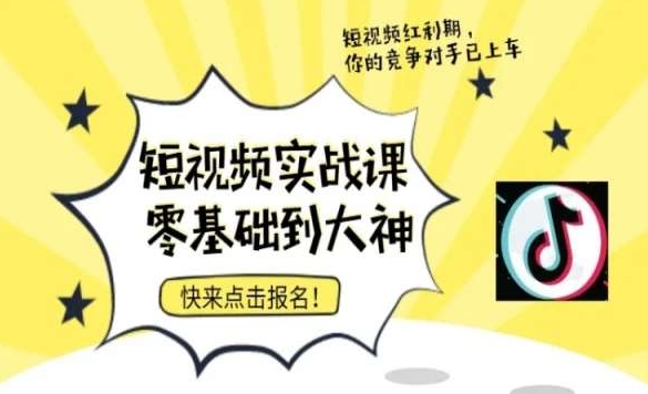 短视频零基础落地实操训练营，短视频实战课零基础到大神-大齐资源站